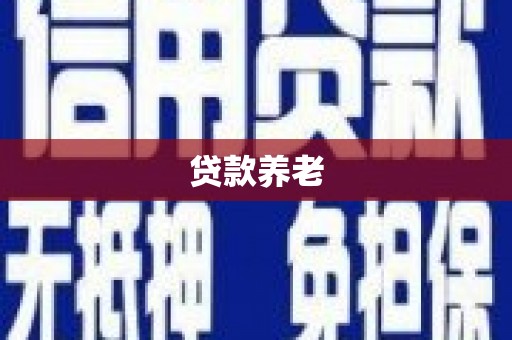 大甲贷款养老