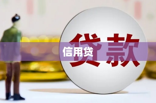 新泰信用贷