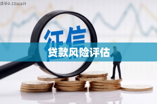 西昌贷款风险评估