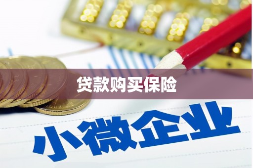 零陵贷款购买保险