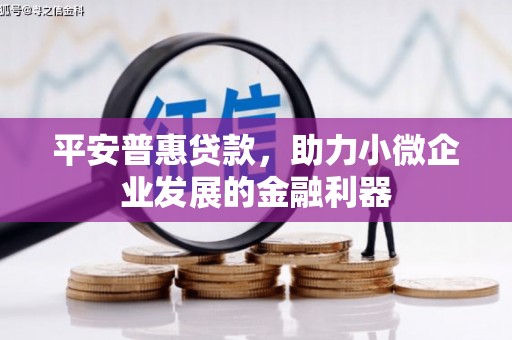 大村平安普惠贷款，助力小微企业发展的金融利器