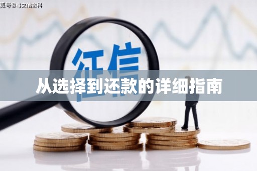 大名从选择到还款的详细指南