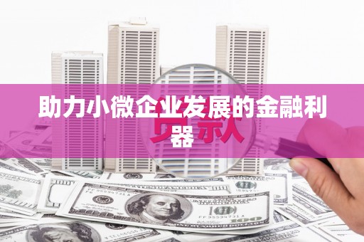 临安助力小微企业发展的金融利器