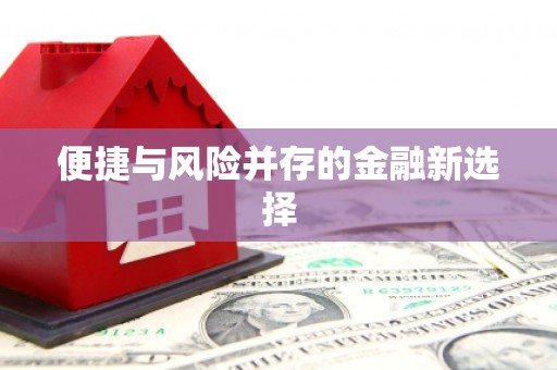 竹南便捷与风险并存的金融新选择