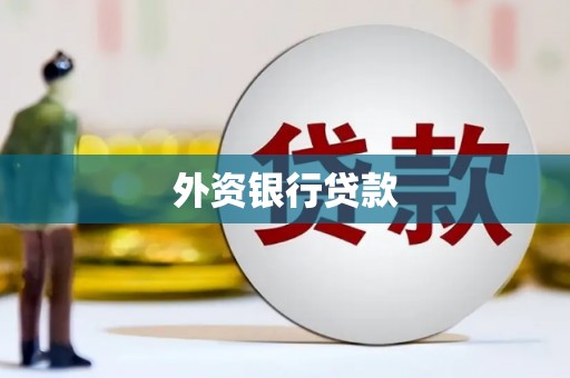洛扎外资银行贷款