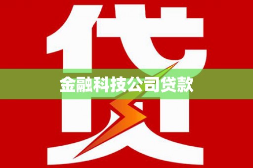 蔡甸金融科技公司贷款