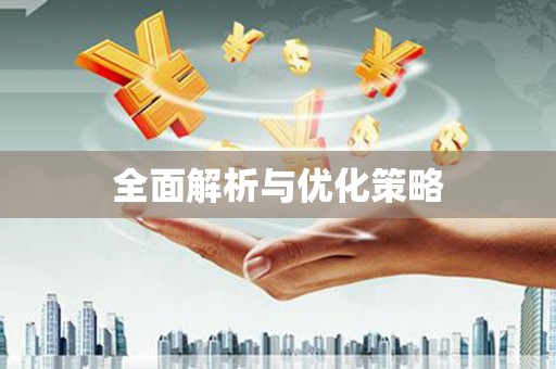 利津全面解析与优化策略