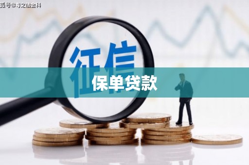桃江保单贷款 桃江保单贷款